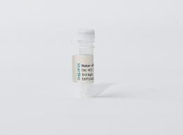 Dojindo MQAE试剂 氯离子荧光探针 50mg