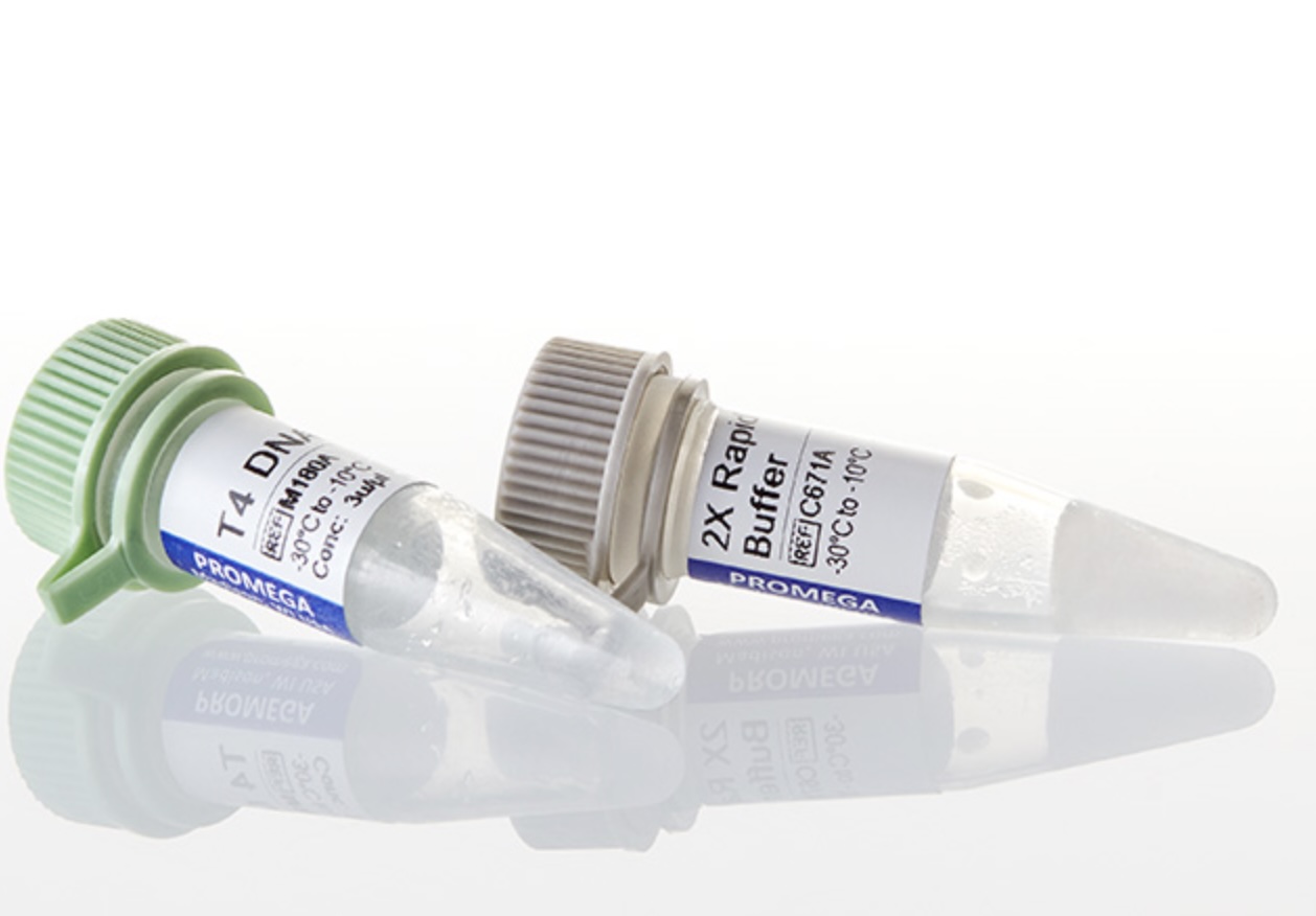 Promega LigaFast Rapid DNA Ligation System M8225