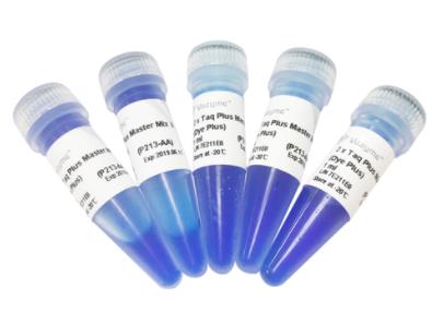 诺唯赞Vazyme 2×Taq Plus Master Mix Ⅱ（Dye Plus）DNA 聚合酶 P213-01