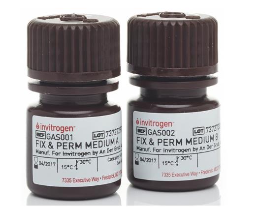 Invitrogen 细胞流式分析用 固定通透试剂盒 Fixation  Permeabilization Kit