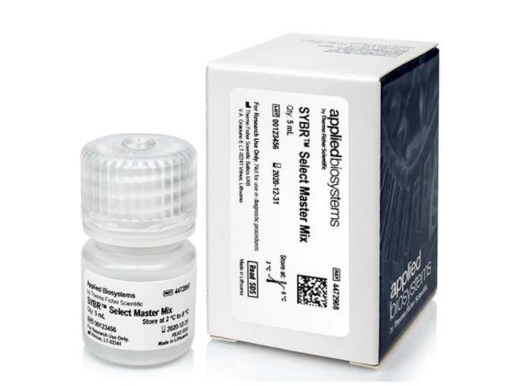 ABI 探针法荧光定量TaqMan Master Mix II, with UNG 4440038