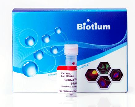 Biotium 核酸染料 EvaGreen Dye, 20X in Water 31000-T