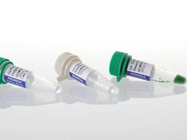 科研用多种抗体、蛋白、试剂 Cayman、Norgene、Biovision等