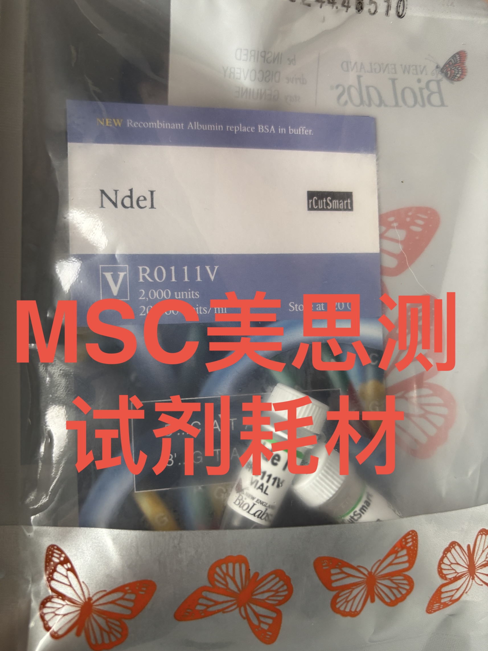 NEB NdeI内切酶 R0111V