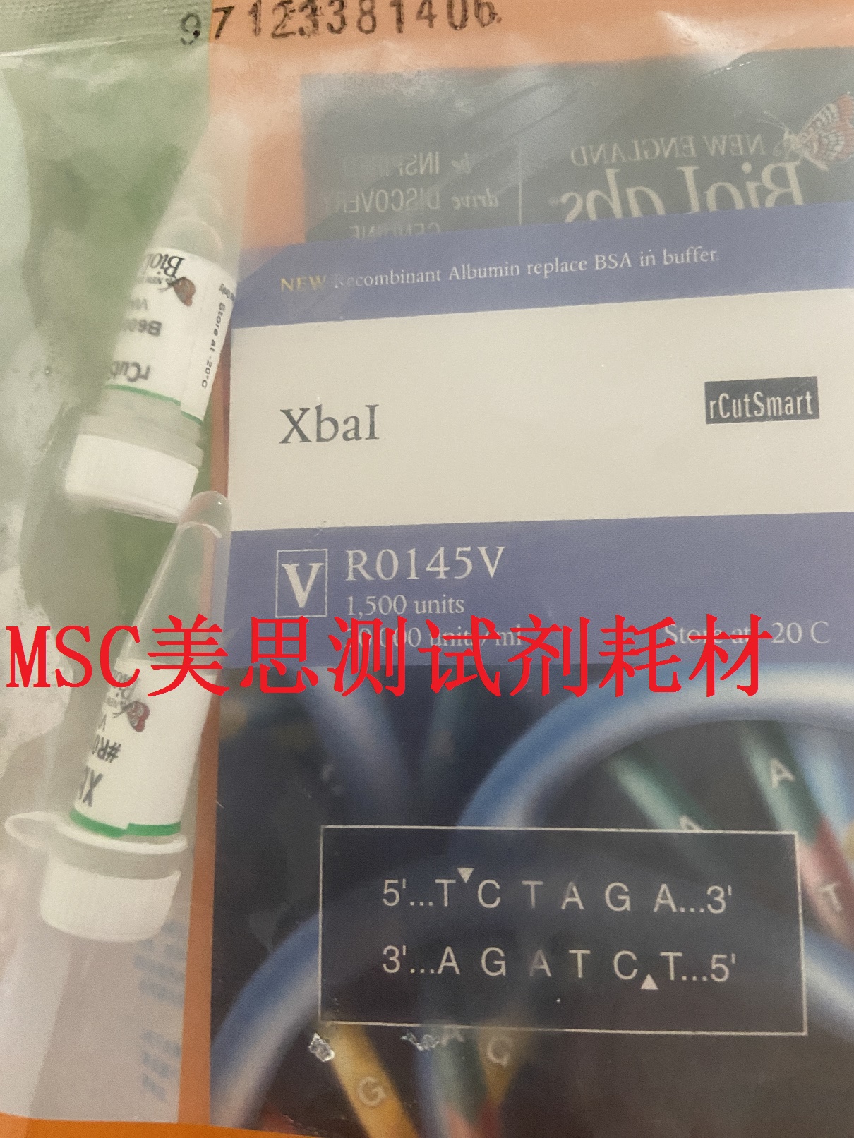 NEB 限制性内切酶 XbaI（星选酶） 1500U