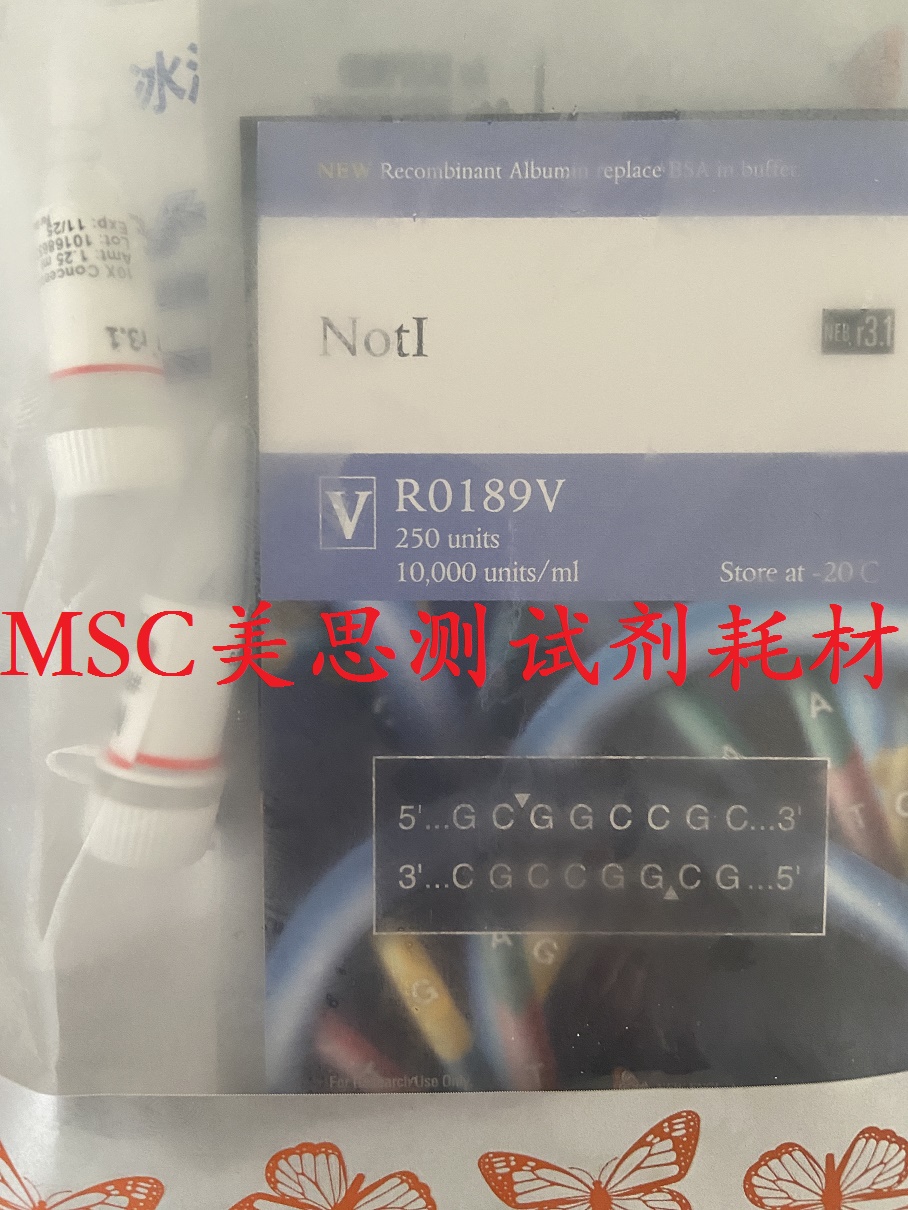 NEB 限制性内切酶 NotI R0189V