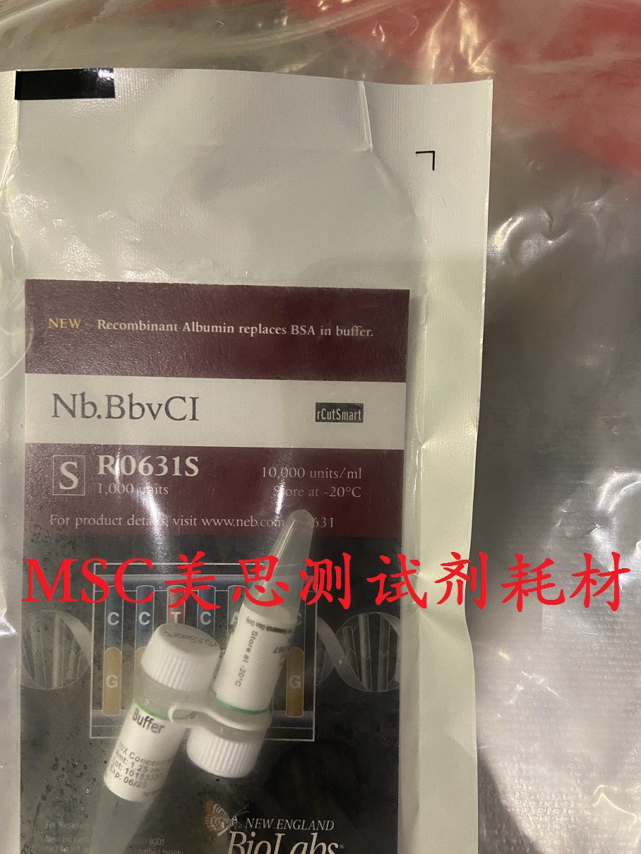 NEB 切刻内切酶 Nb.BbvCI 1000u R0631S