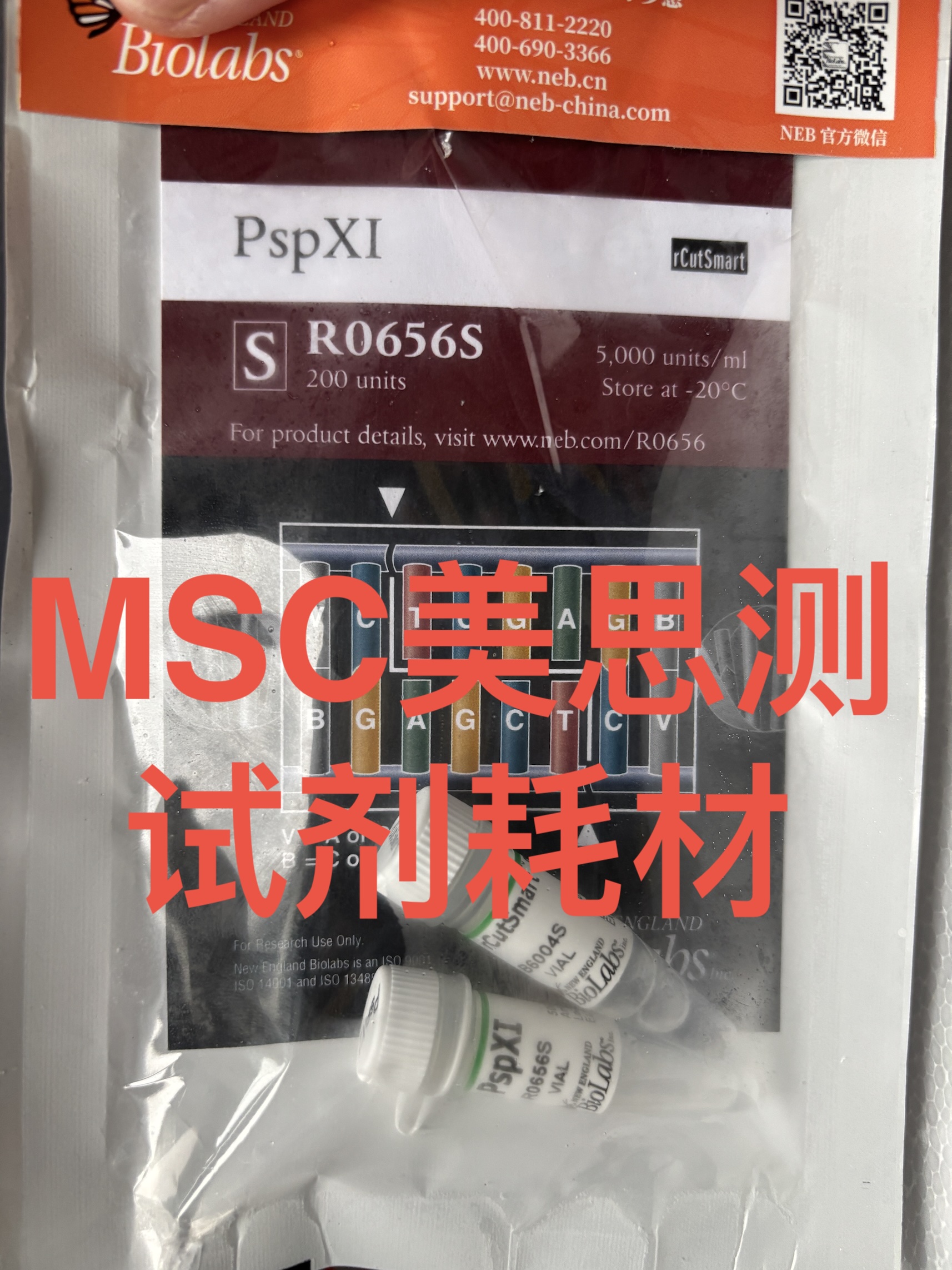 NEB PspXI内切酶 R0656S