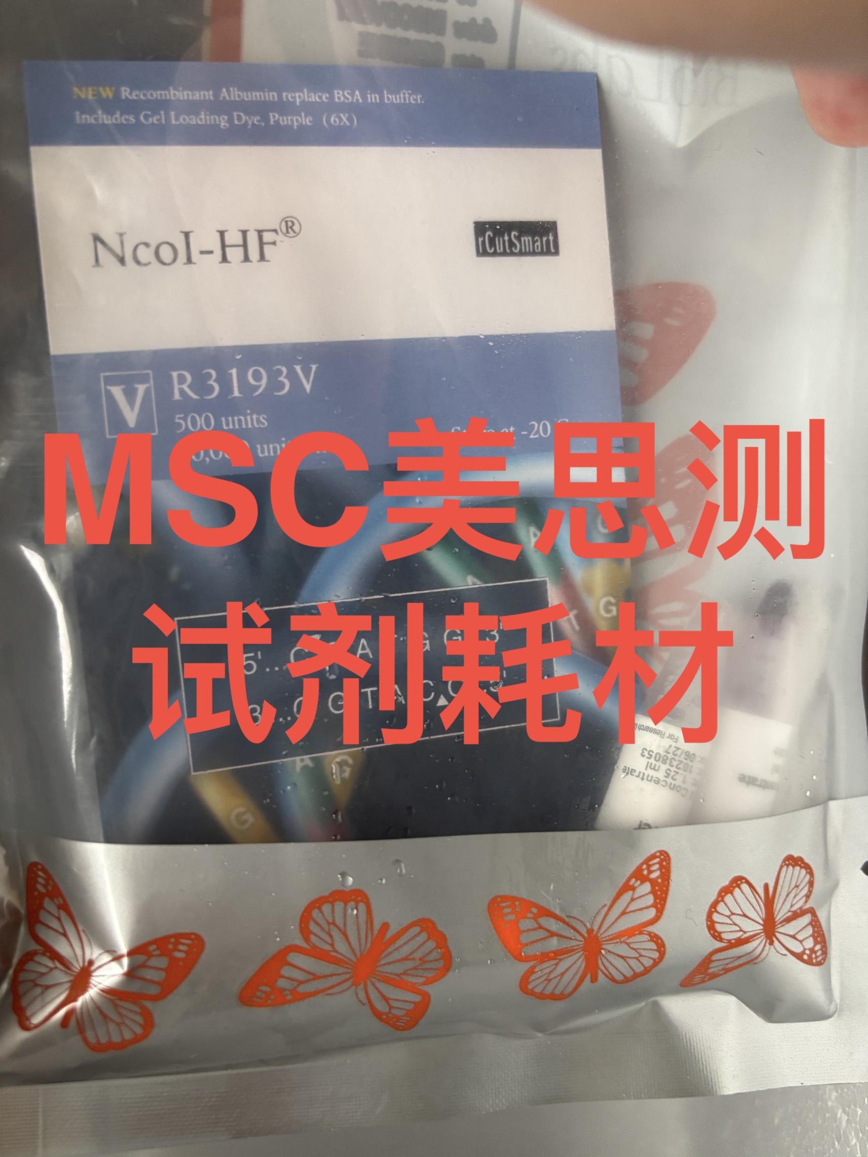 NEB NcoI-HF 高保真限制性内切酶 R3193V