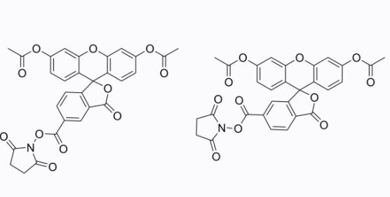 MCE CSFE细胞染色 5(6)-羧基二乙酸荧光素 N-琥珀酰亚胺酯 5mg