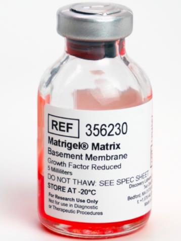 康宁Corning 356230 Matrigel 生长因子减量(GFR) 基底膜基质 5ml