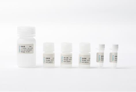 Starvio 石蜡包埋组织DNA提取试剂盒 FFPE Tissue Kit