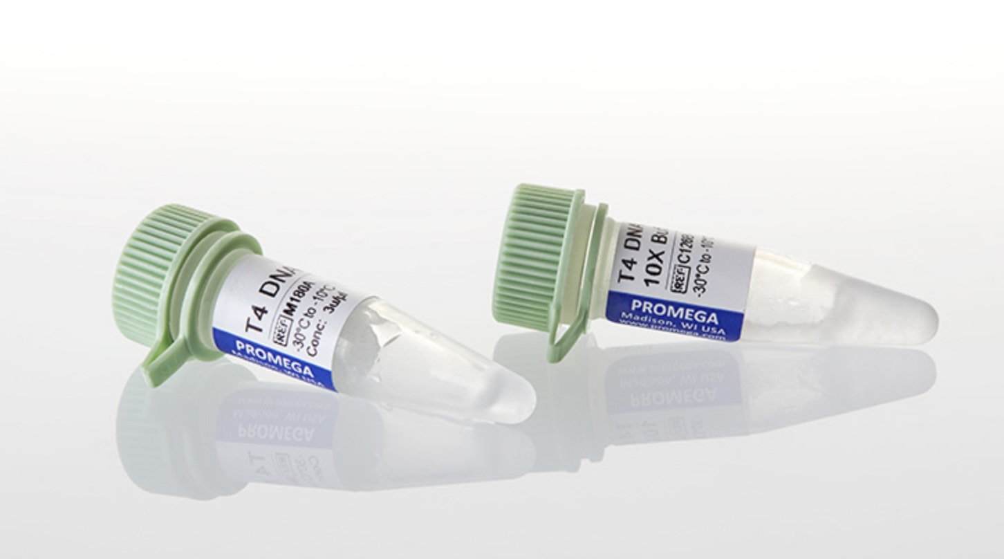 Promega T4 DNA Ligase 连接酶 M1804