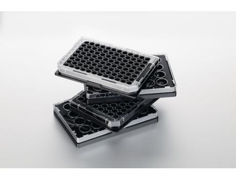 艾本德Eppendorf细胞成像培养板