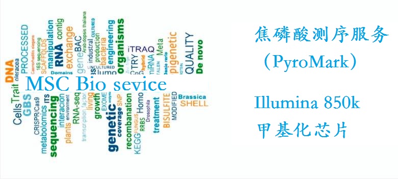 bsp 甲基化分析服务 焦磷酸测序与甲基化芯片