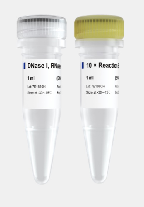 Vazyme DNase I , RNase-free 脱氧核糖核酸酶I EN401