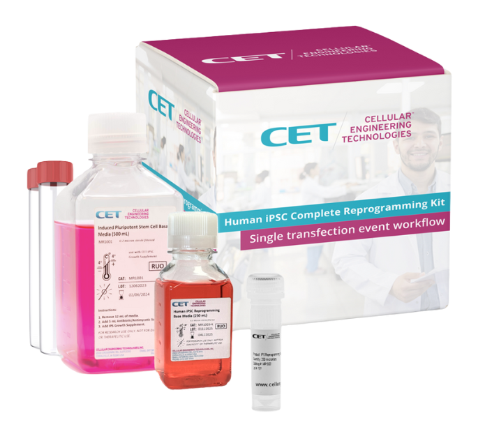 CET iPSC 多功能干细胞 重编辑试剂盒