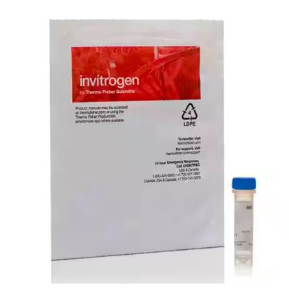 Invitrogen 活死细胞检测染色剂 用于流式细胞术 L34969