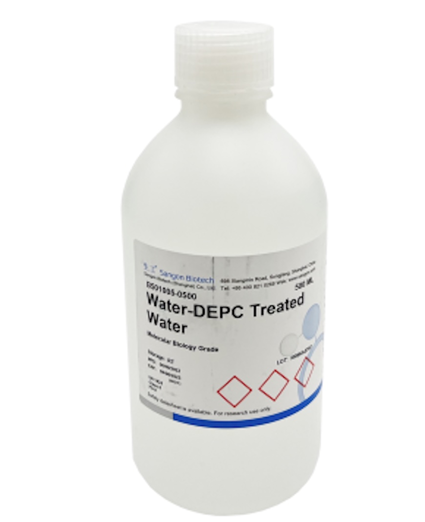 上海生工 DEPC 处理水 500ML