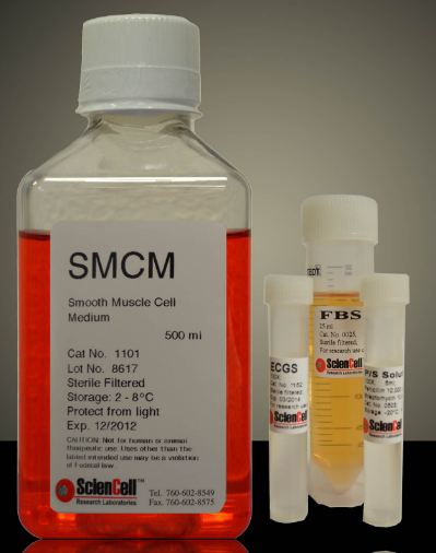 Sciencell SMCM平滑肌细胞培养基 500ml 1101
