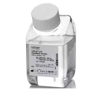 Invitrogen 无核酸酶 （DNase/RNase ）蒸馏水 500ml 10977015