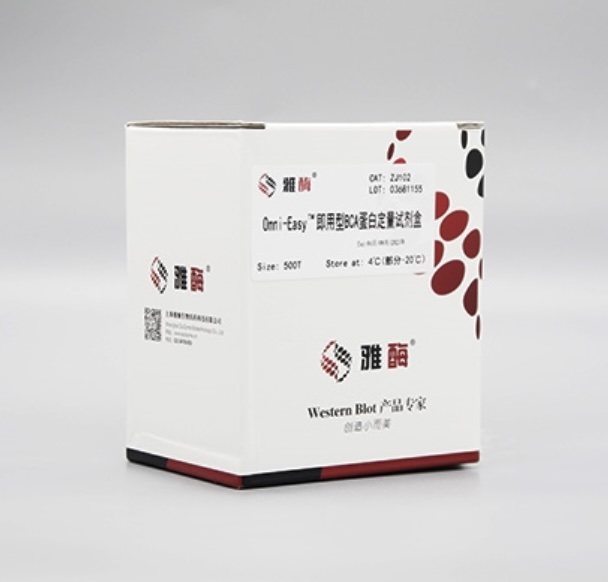 雅酶 Omni-Easy即用型BCA蛋白定量试剂盒 ZJ102