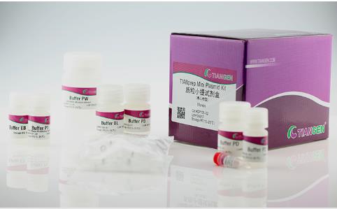 天根 质粒小提试剂盒 DP103