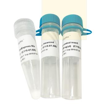 诺唯赞Vazyme 同源重组快速克隆试剂盒