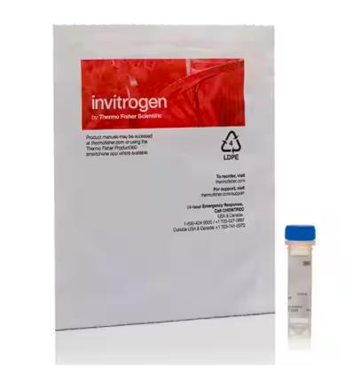 Invitrogen SYTO9 绿色荧光核酸染色剂 (活死细菌染色）