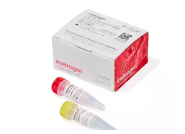 Invritogen 细胞转染脂质体 Lipo3000 0.1ml L3000001