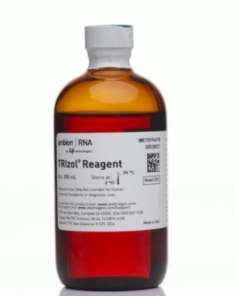 Invitrogen TRIzol RNA提取试剂 100ml 15596026