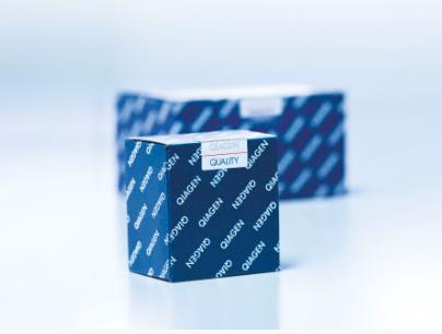 Qaigen 组织裂解缓冲液 ATL Buffer 19076