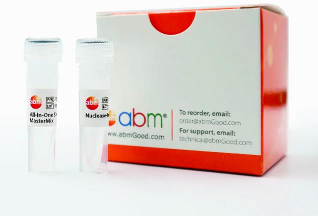 abm 一步法反转录试剂盒 all in one 5X RT MasterMix G592