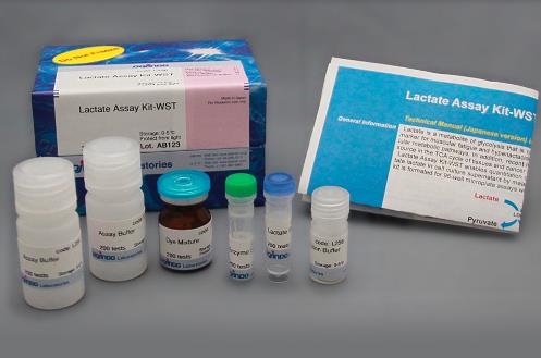 Dojindo同仁 乳酸检测试剂盒 Lactate Assay Kit-WST 50T