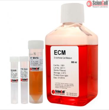 Sciencell ECM内皮细胞培养基 1001
