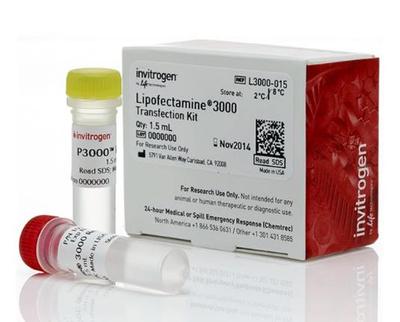 Invritogen 细胞转染脂质体 Lipo3000 1.5ml L3000015