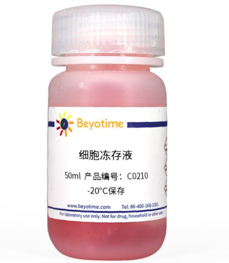 碧云天 细胞冻存液