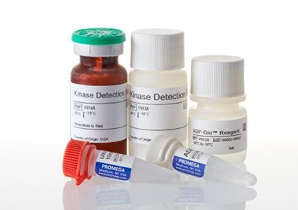 Promega ADP-Glo Kinase 激酶检测试剂盒 V6930