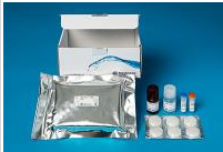 瑞典Medicago	 蛋白L配体漏泄ELISA (Protein L Ligand Leakage ELISA) 10-0027-1