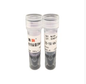 雅酶 双色预染蛋白Marker 15kDa~150kDa 250ul*2 WJ101