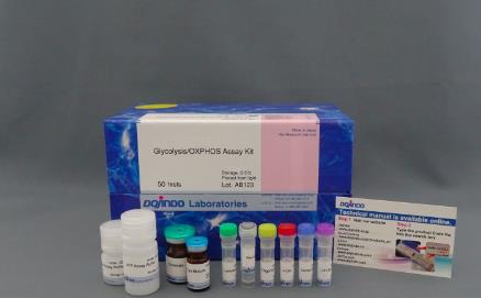 Dojindo 细胞脂质过氧化物（铁死亡）检测试剂盒 50ug