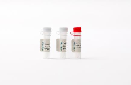 Starvio miRNA茎环法逆转录试剂盒 25T