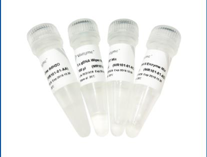 诺唯赞逆转录产品（茎环法） miRNA 1st Strand cDNA Synthesis Kit (by stem-loop)