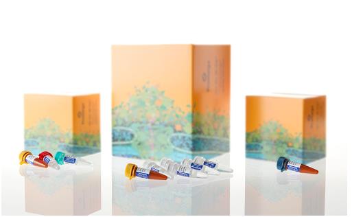 Promega PowerPlex 21 System 200人份 DC8902