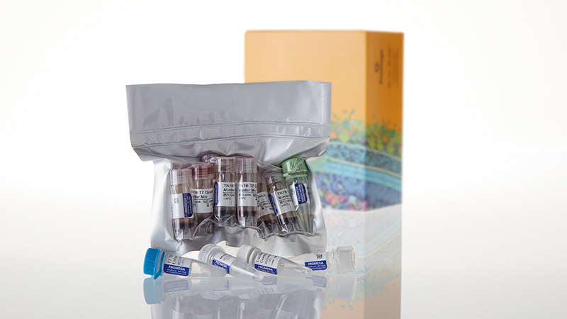 Promega TnT 转录翻译系统 System (T7启动子) L1171