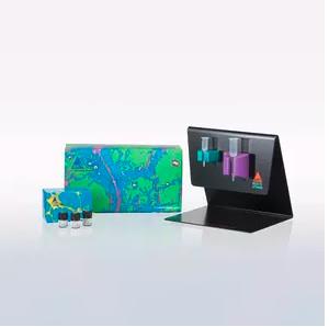 美天旎Miltenyi Mini & MidiMACS 双通道细胞磁珠分选套件