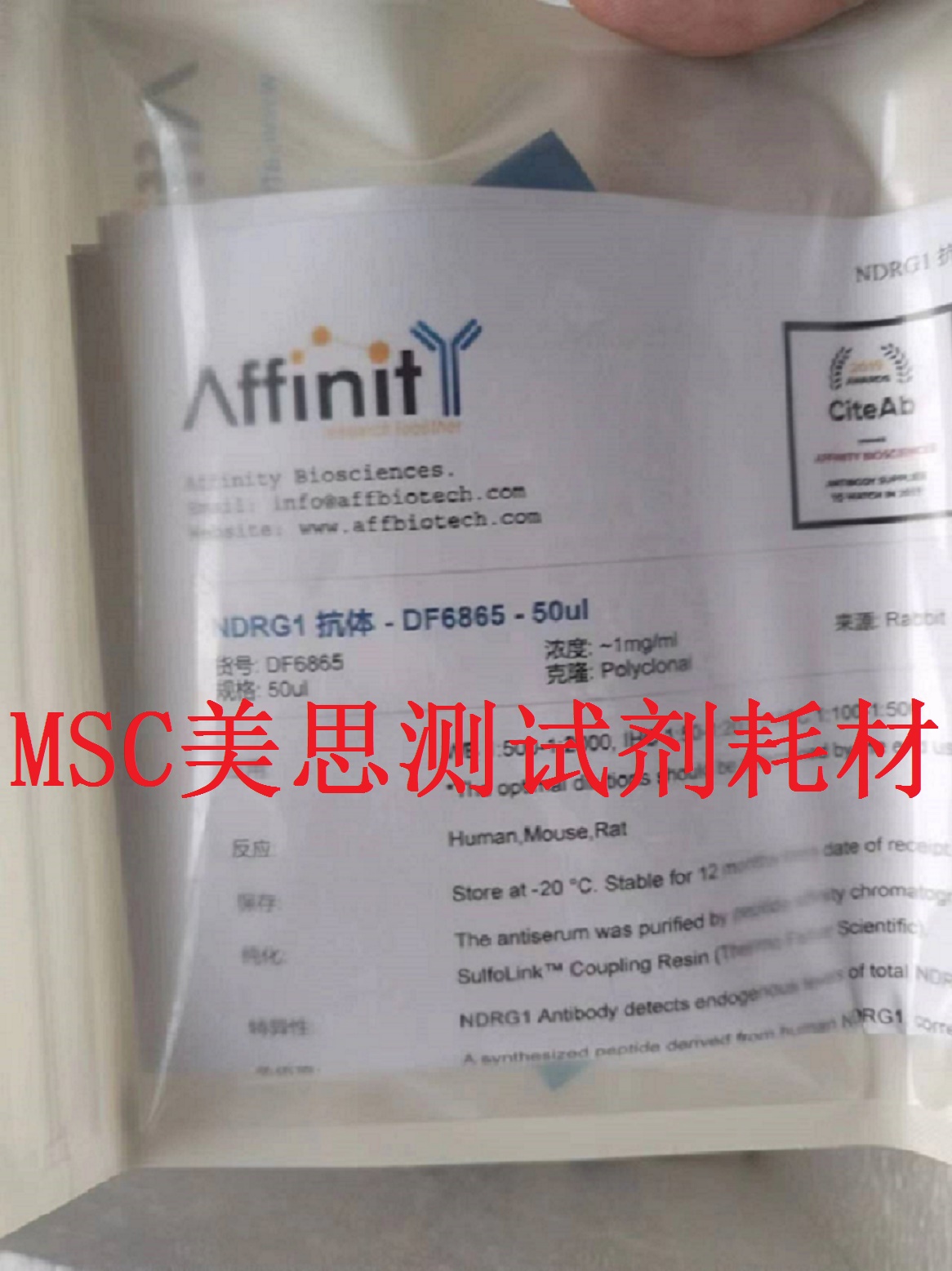 Affinity 一抗 NDRG1 Antibody 50ul