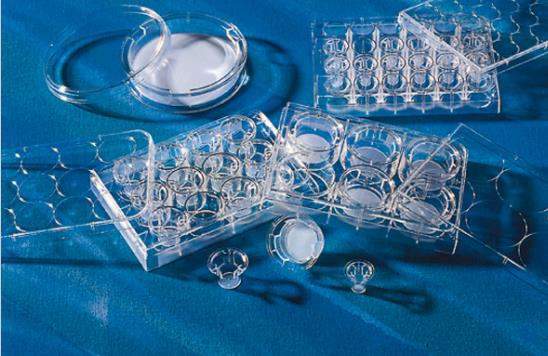 康宁 Transwell 细胞培养小室，聚碳酸酯 (PC) 膜 3428