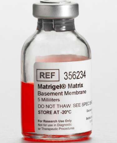 康宁 Matrigel基底膜基质胶（BME）5 mL 356234