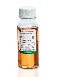 Gibco 胎牛血清 新西兰 50ml A3160901